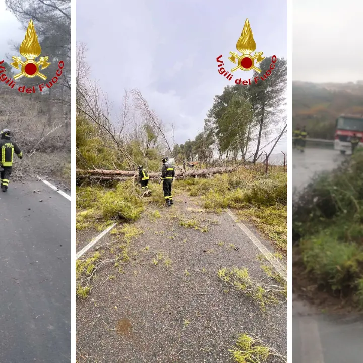 Maltempo, la tempesta Gabri morde la Calabria. Albero cade su un’auto con tre persone a bordo nel Catanzarese: nessun ferito