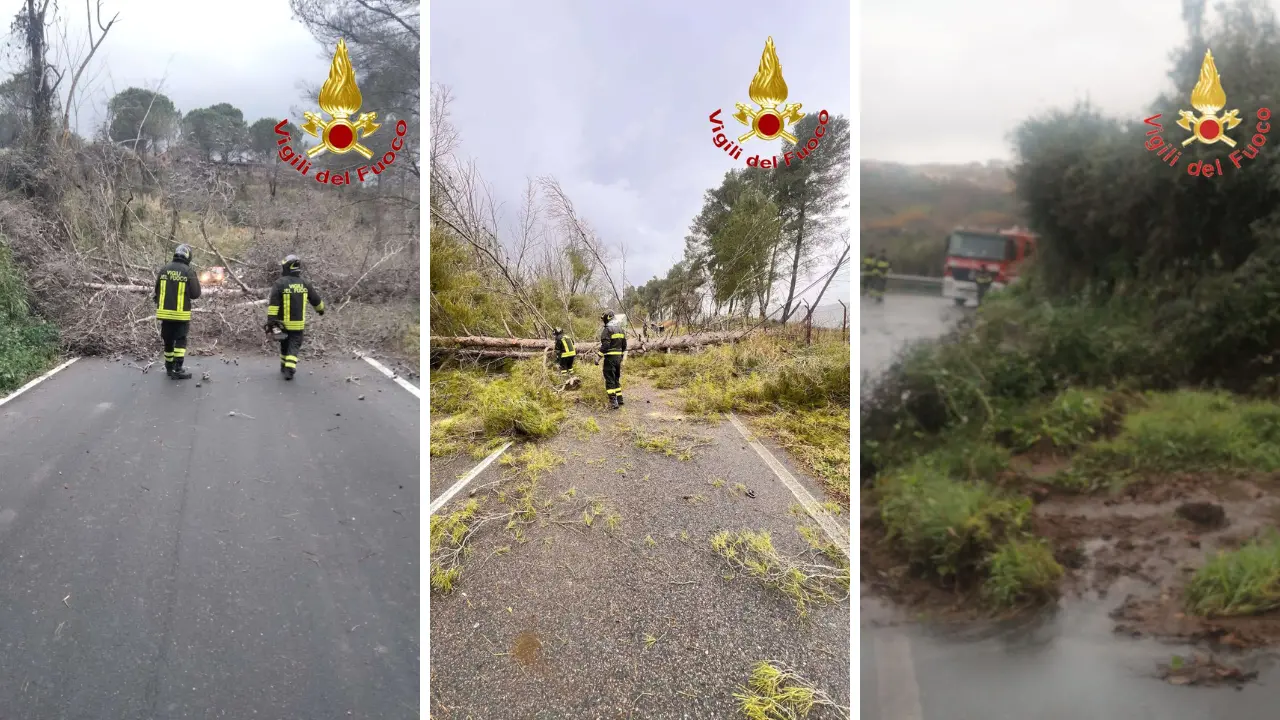 Maltempo, la tempesta Gabri morde la Calabria. Albero cade su un’auto con tre persone a bordo nel Catanzarese: nessun ferito