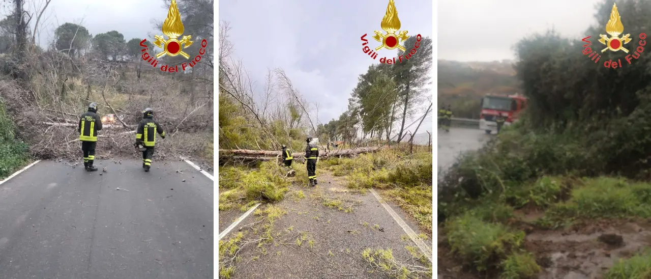 Maltempo, la tempesta Gabri morde la Calabria. Albero cade su un’auto con tre persone a bordo nel Catanzarese: nessun ferito