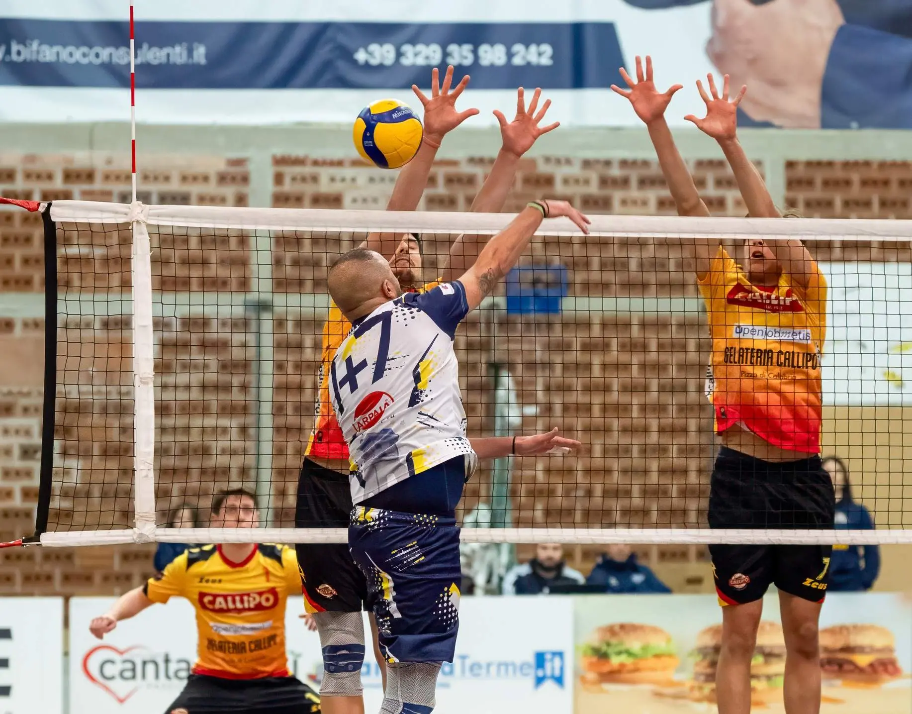 Volley, Lamezia vuole allungare in Serie B, occhio al derby Callipo-Bisignano. Nel torneo regionale duello infuocato Taurianova-Praia