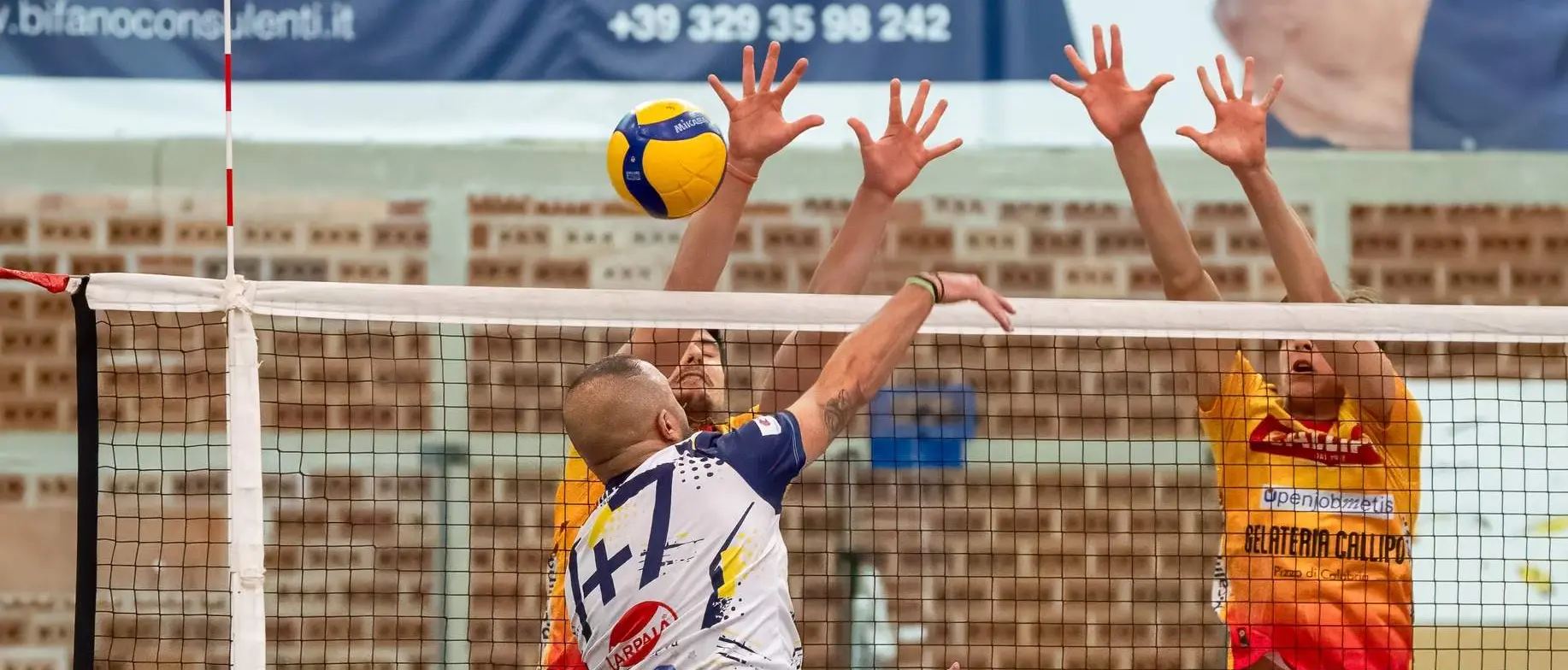 Volley, Lamezia vuole allungare in Serie B, occhio al derby Callipo-Bisignano. Nel torneo regionale duello infuocato Taurianova-Praia