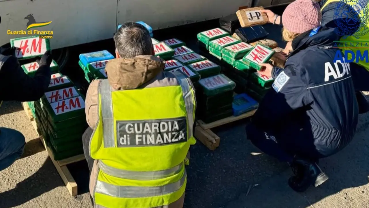 Sequestrati 217 chili di cocaina al porto di Livorno, la droga era diretta in Calabria e avrebbe fruttato 60 milioni di euro\n