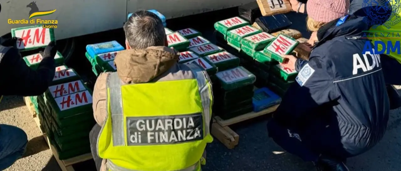 Sequestrati 217 chili di cocaina al porto di Livorno, la droga era diretta in Calabria e avrebbe fruttato 60 milioni di euro\n