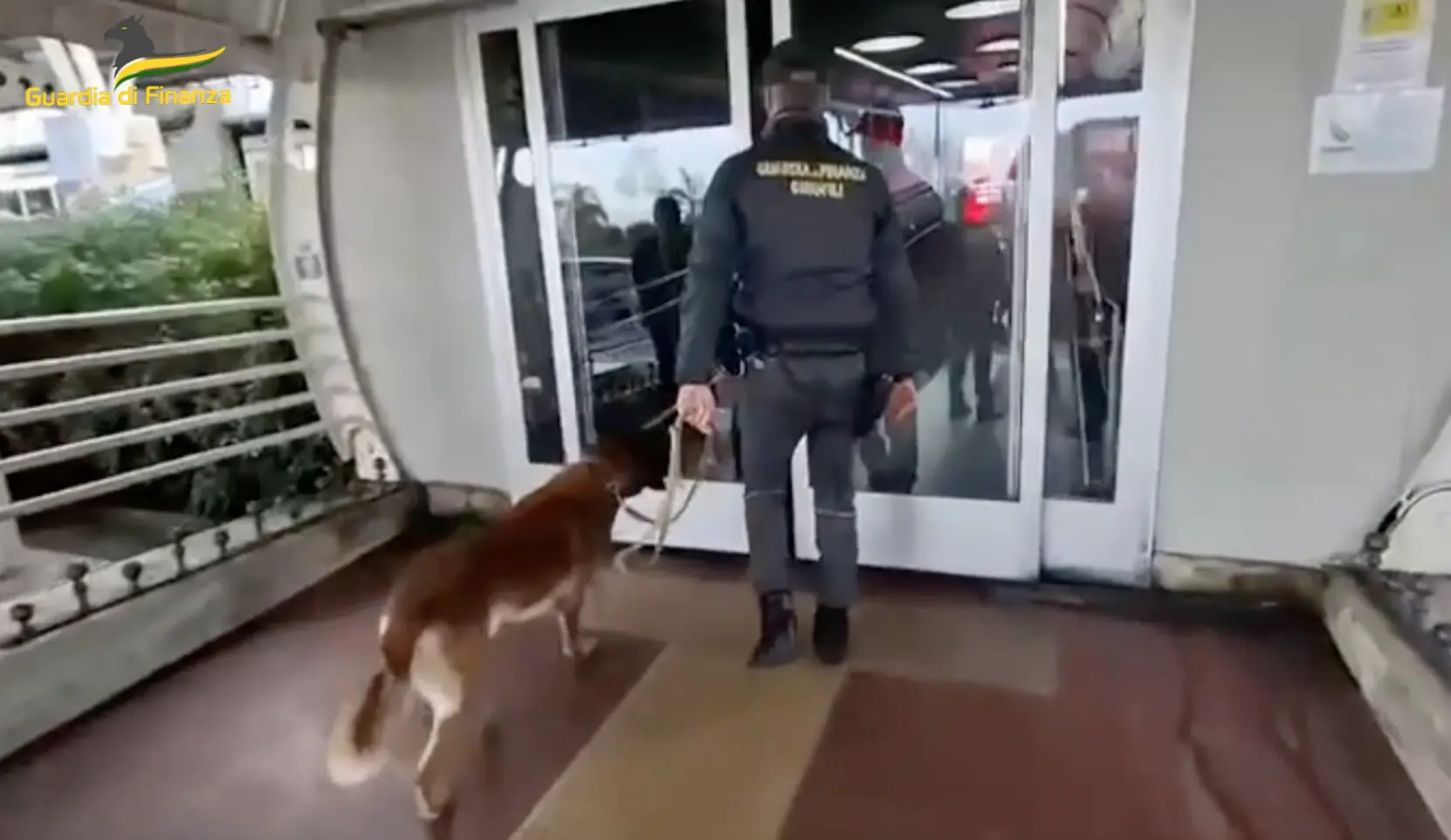 In volo con due chili di cocaina nello stomaco: l’ultimo viaggio di un ovulatore prima di essere arrestato