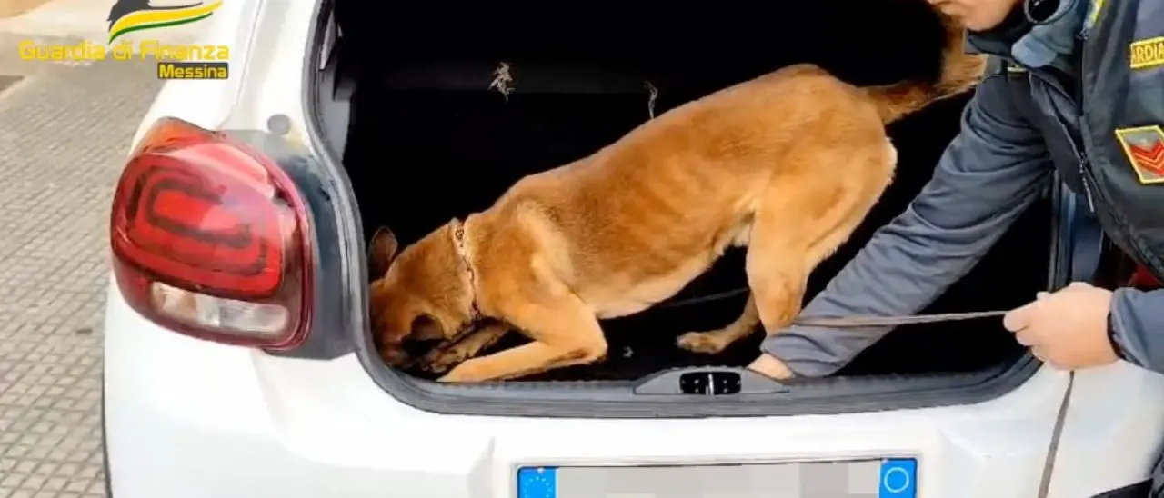 «Vado a trovare un amico in ospedale», ma in auto aveva un chilo di cocaina: calabrese arrestato a Messina\n