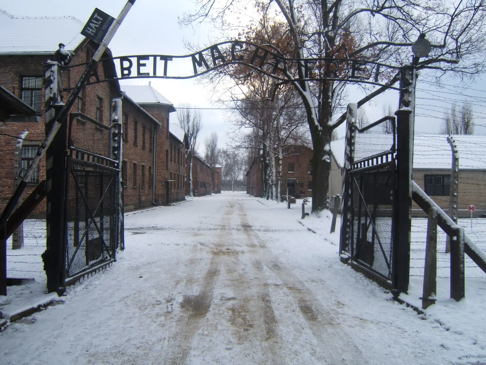 Mattarella ad Auschwitz insieme ai leader europei per gli 80 anni dalla liberazione del campo nazista