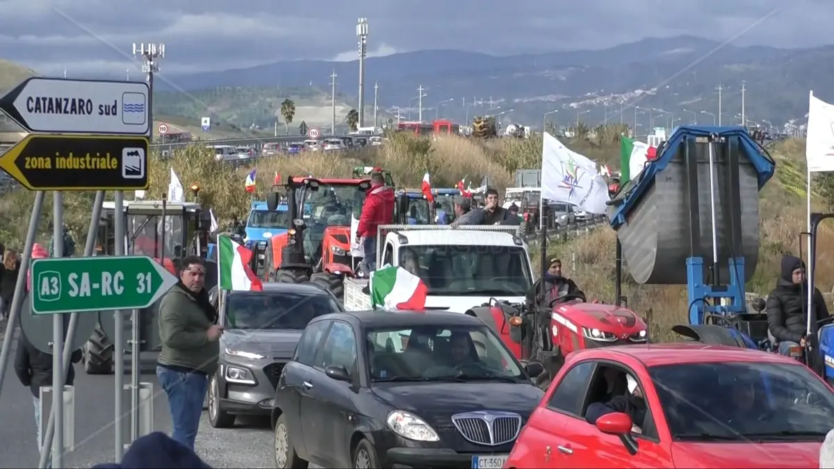 Nuova mobilitazione dei trattori, domani presìdi nel catanzarese: «Il settore agricolo è in ginocchio»\n