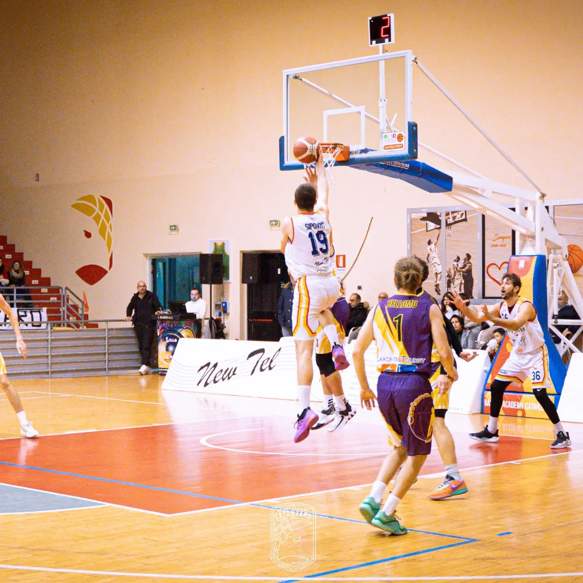 Basket, ventesimo turno negativo per le calabresi in Serie B: cadono Viola Reggio, Catanzaro e Rende