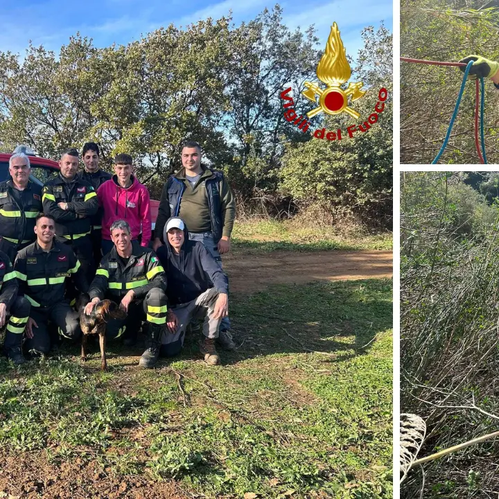 Cucciolo di segugio precipita in un dirupo nel Vibonese: lo salvano i vigili del fuoco