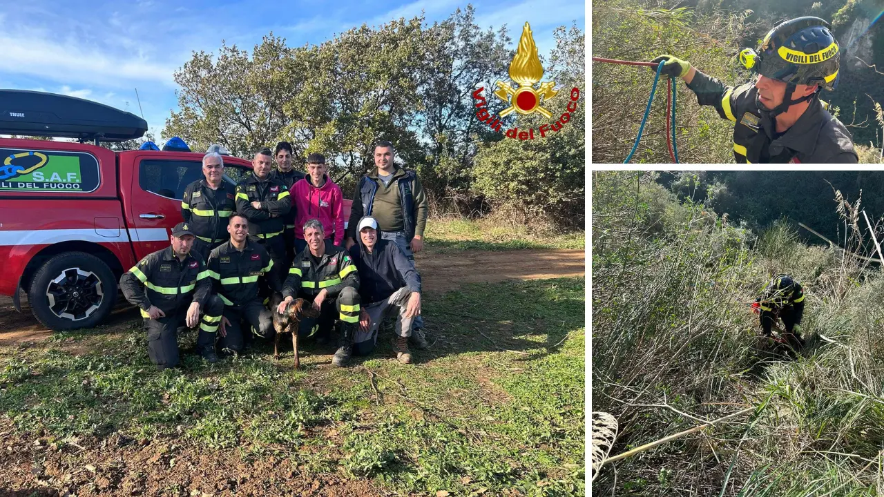 Cucciolo di segugio precipita in un dirupo nel Vibonese: lo salvano i vigili del fuoco