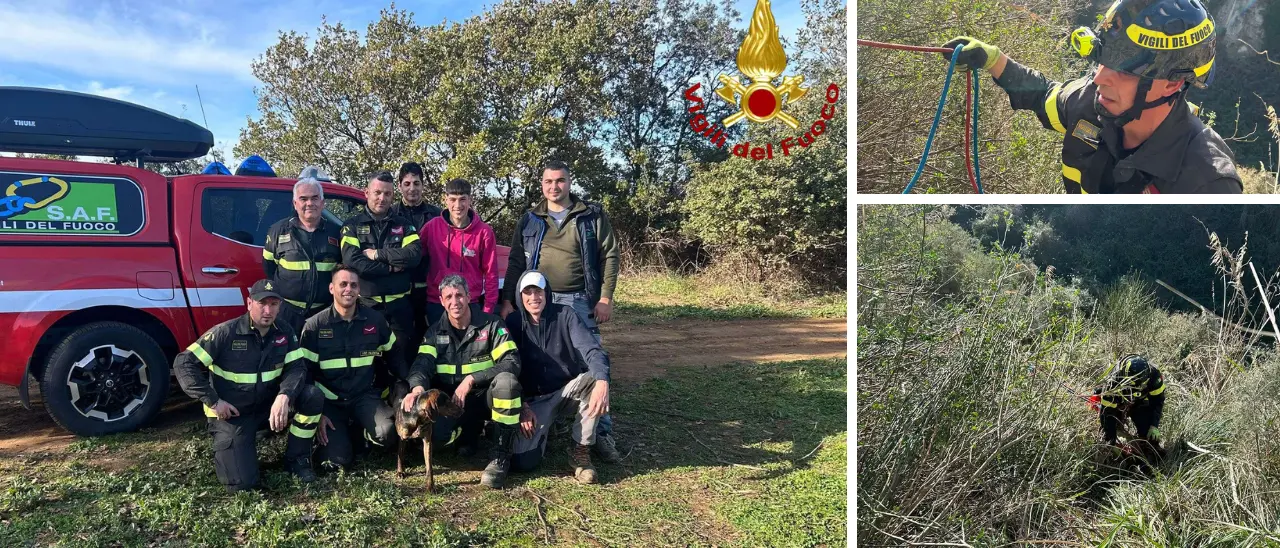 Cucciolo di segugio precipita in un dirupo nel Vibonese: lo salvano i vigili del fuoco