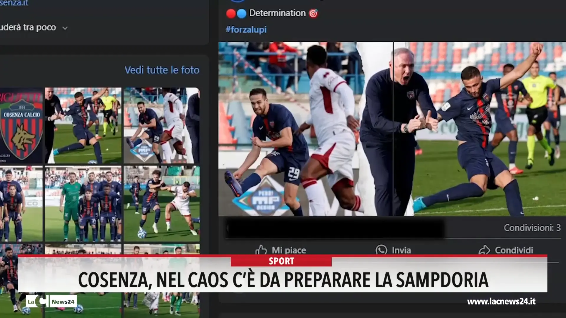 Cosenza, nel caos c'è da preparare la Sampdoria