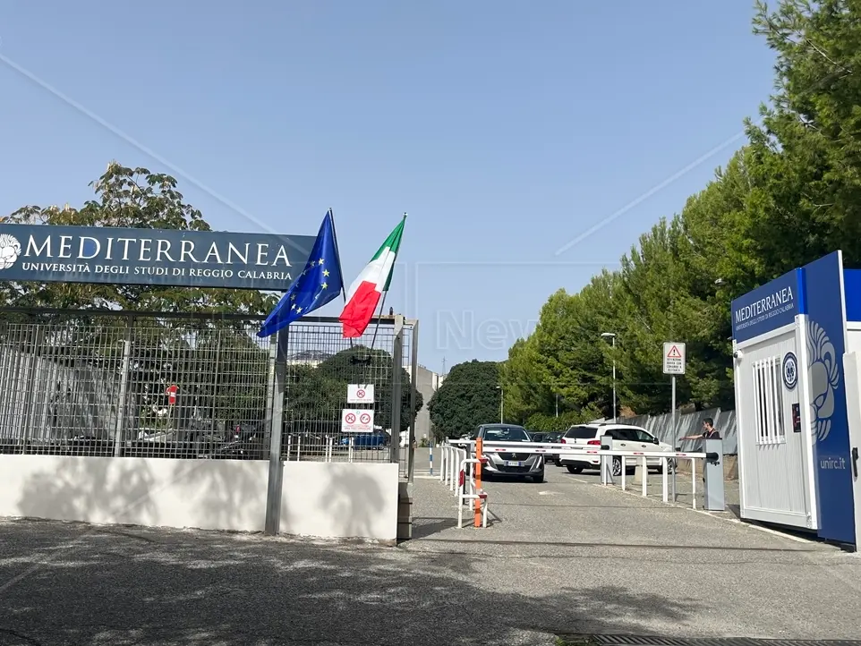Identità di genere e diritto allo studio: carriere Alias alla Mediterranea di Reggio ma le scuole restano indietro
