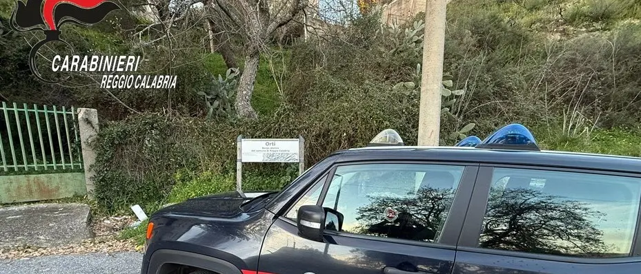 Truffa un’anziana nel Reggino, denunciato un 50enne\n