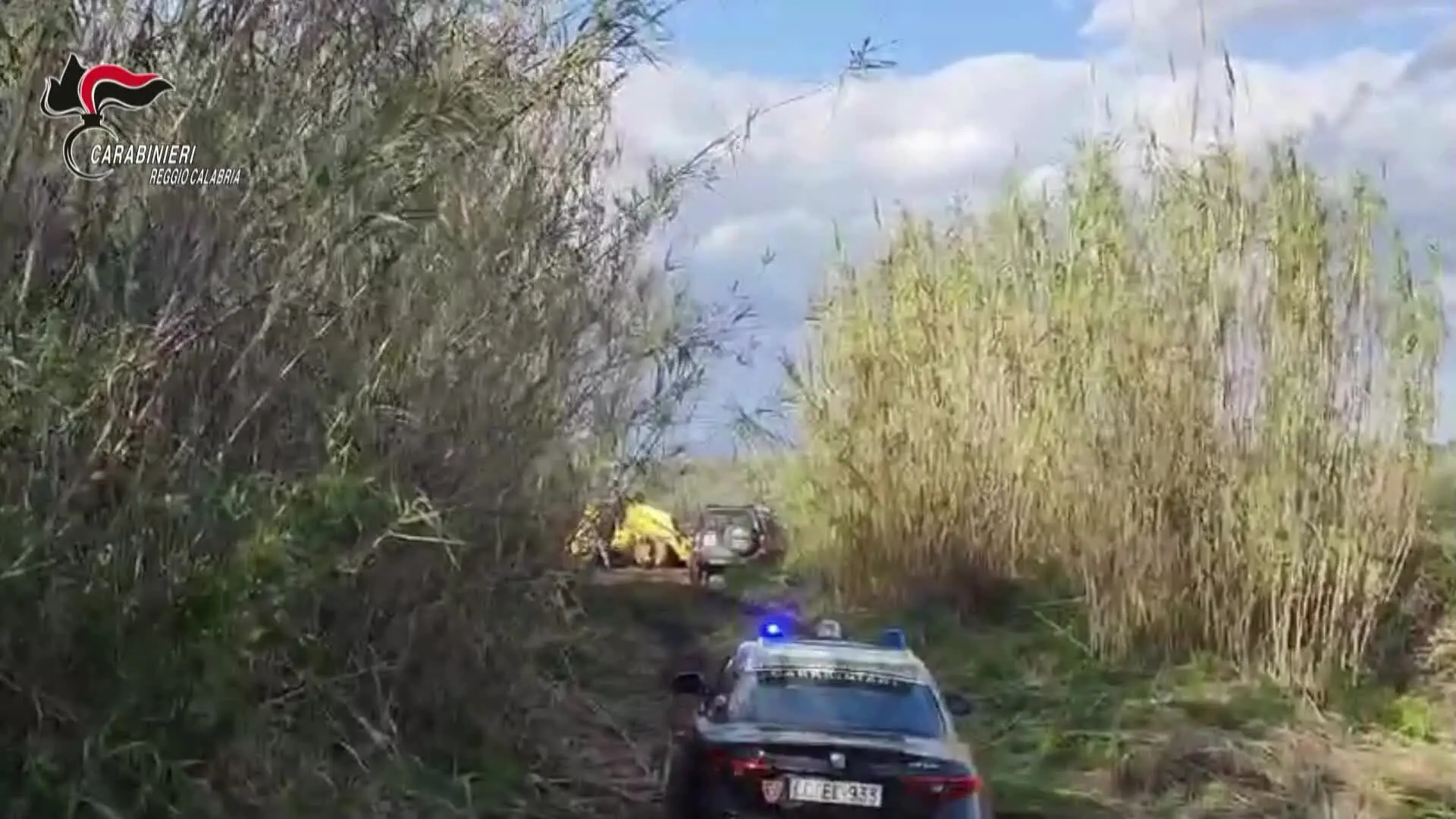 Armi e cocaina nei terreni di un'azienda agricola della Piana di Gioia Tauro