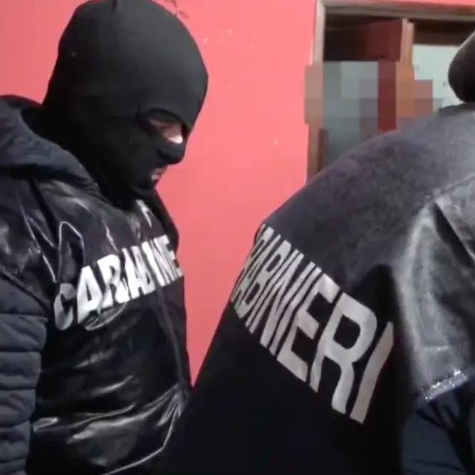 Due milioni di euro interrati (e ammuffiti): la disponibilità di contante dei Gallace e la cassa comune per mantenere i detenuti