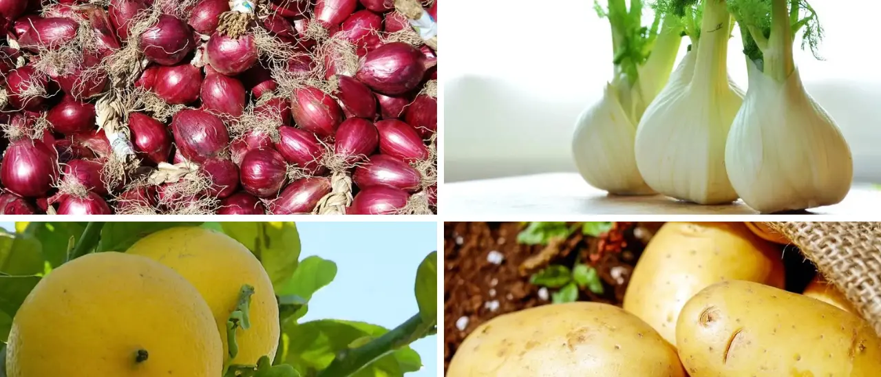 Calabria protagonista a Fruit Logistica 2025: le eccellenze ortofrutticole dell’intera regione in vetrina a Berlino