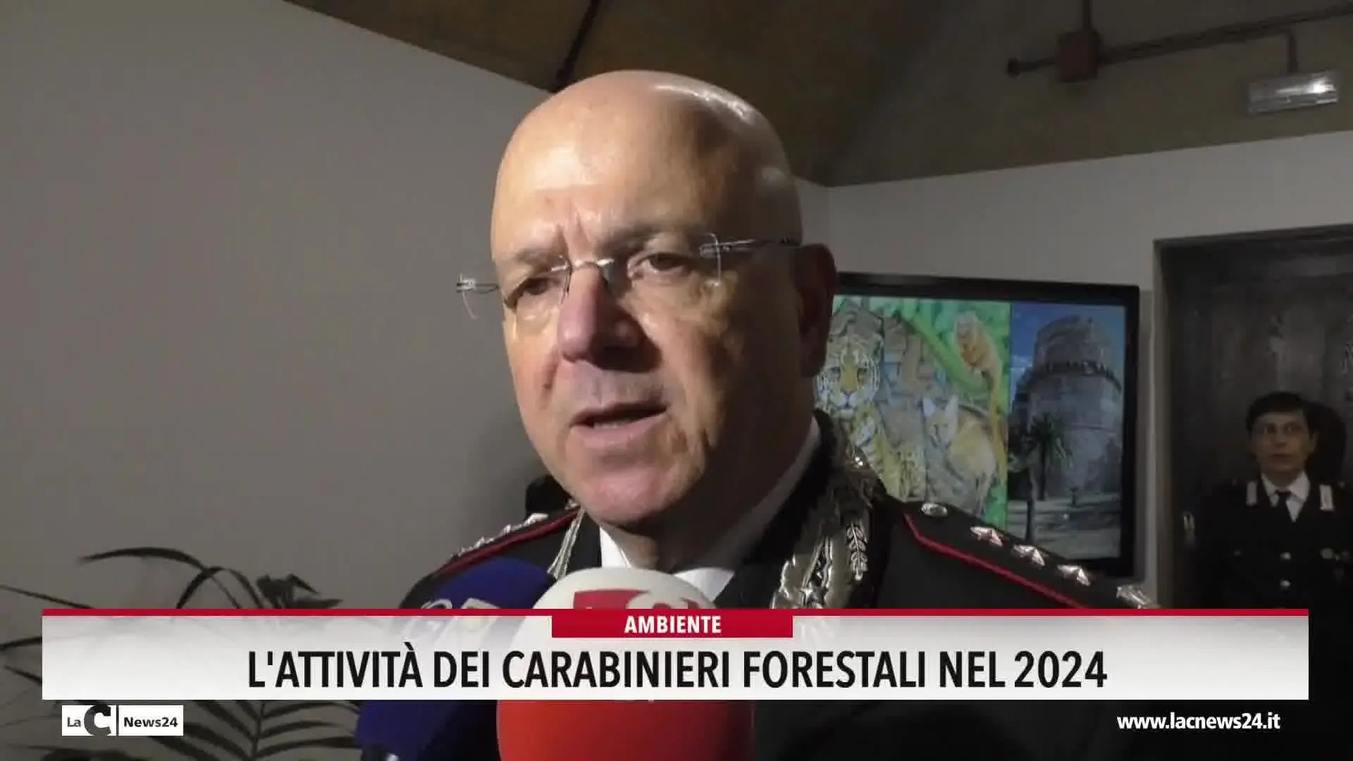 L'attività dei carabinieri forestali nel 2024