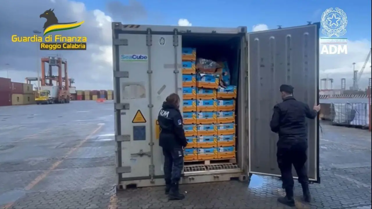 Porto di\u00A0Gioia Tauro, sequestrati 27 chili di cocaina: la droga era\u00A0nascosta tra le banane\n