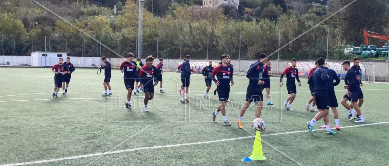 Serie D, ecco come cambia la Vibonese dopo il mercato invernale: salutano Fontanelli e Marras, Palumbo e Nunziante tra i nuovi arrivi