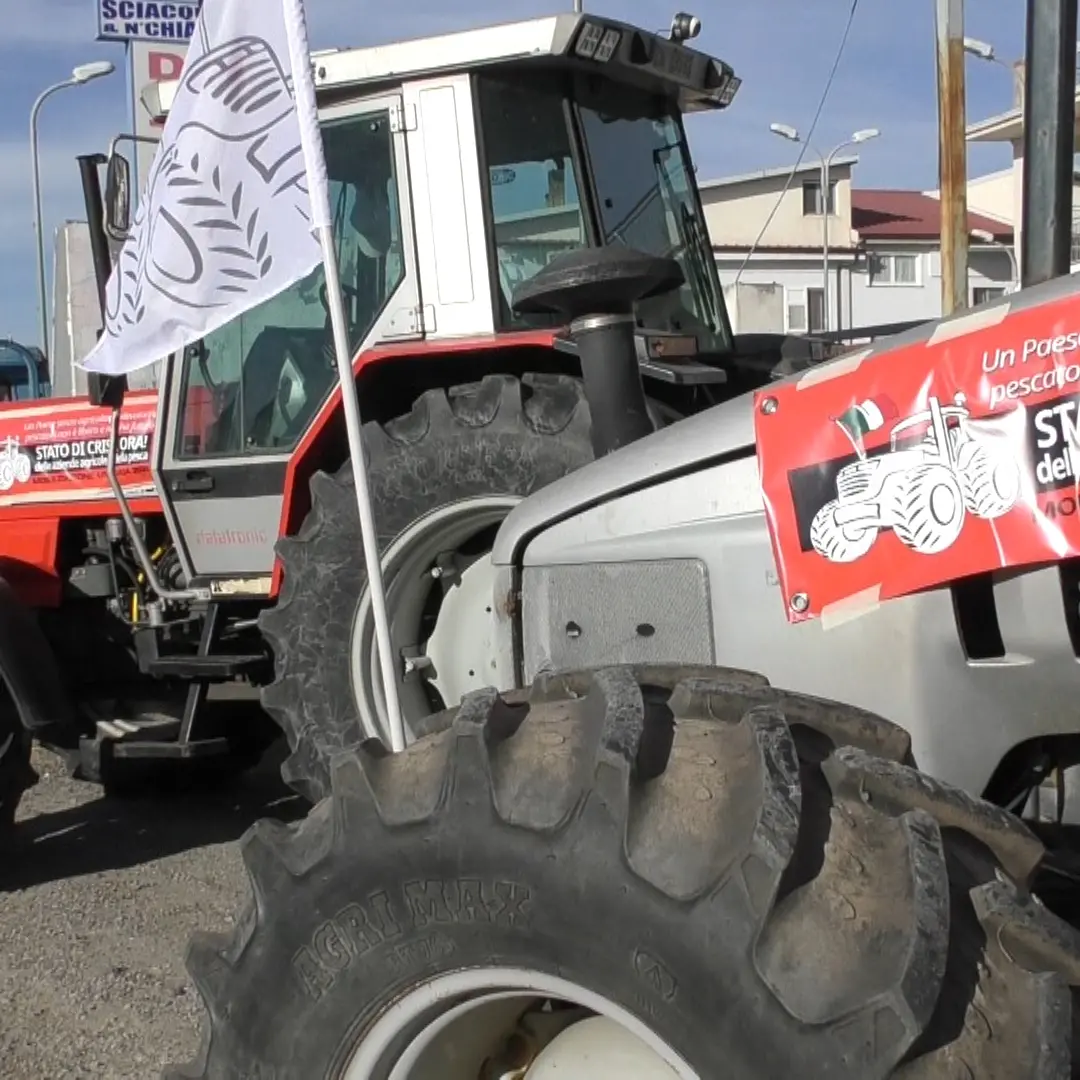 Agricoltori e pescatori in piazza a Crotone: «La Regione chieda lo stato di crisi per il settore»