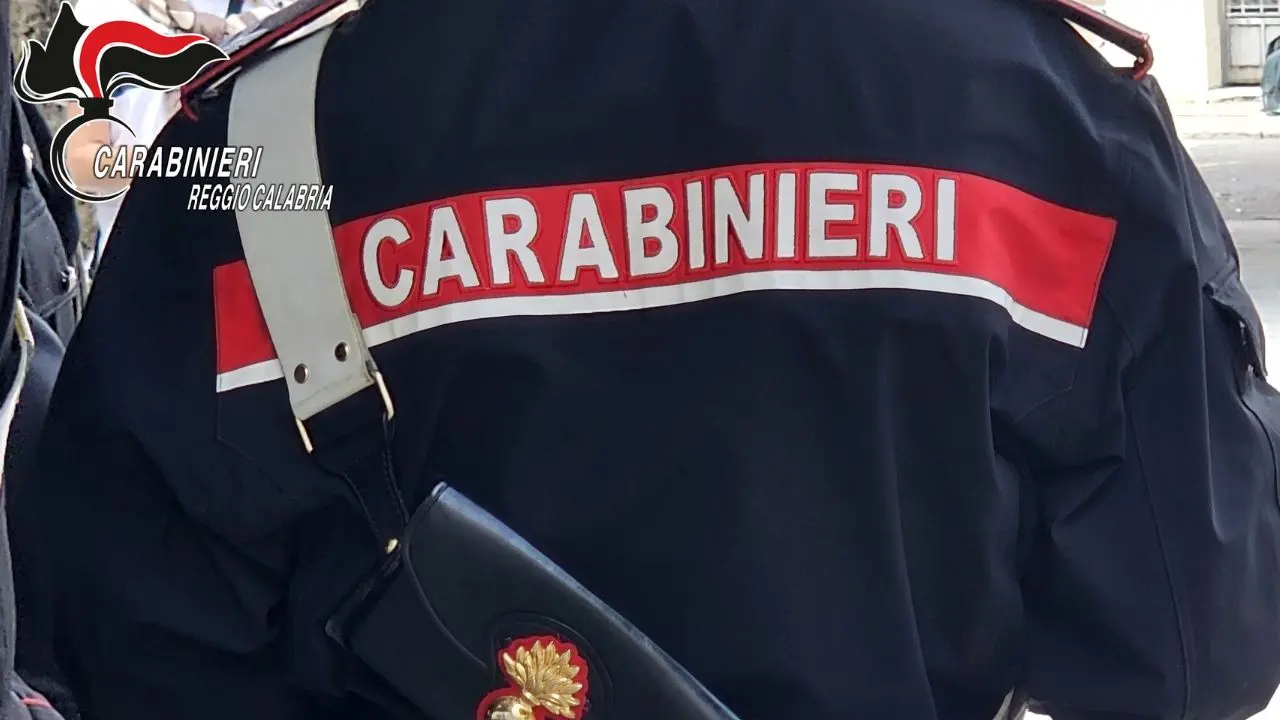 Gioia Tauro, i carabinieri sequestrano 80 chili di marijuana e materiale esplosivo: un arresto