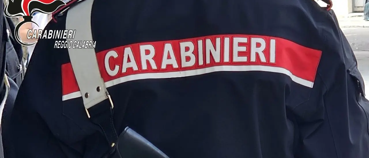 Usa i documenti del fratello defunto per eludere controlli, denunciato un uomo nel Reggino\n