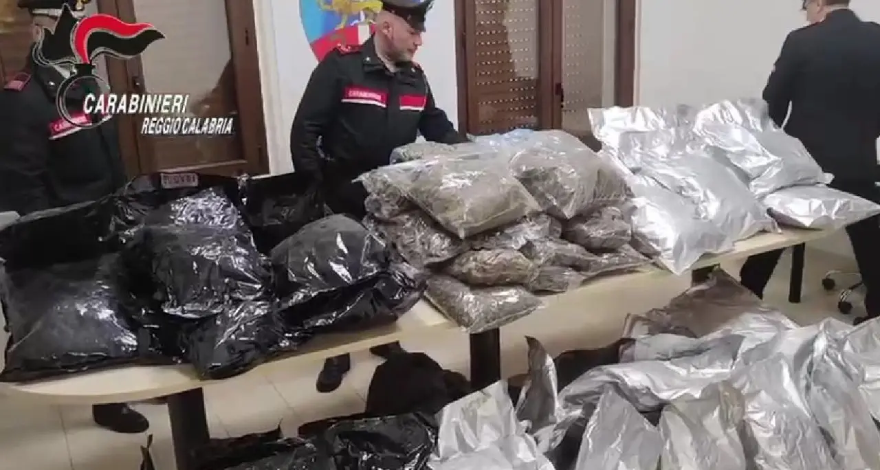 Operazione antidroga a Gioia Tauro, sequestrati 80 chili di marijuana e materiale pirotecnico