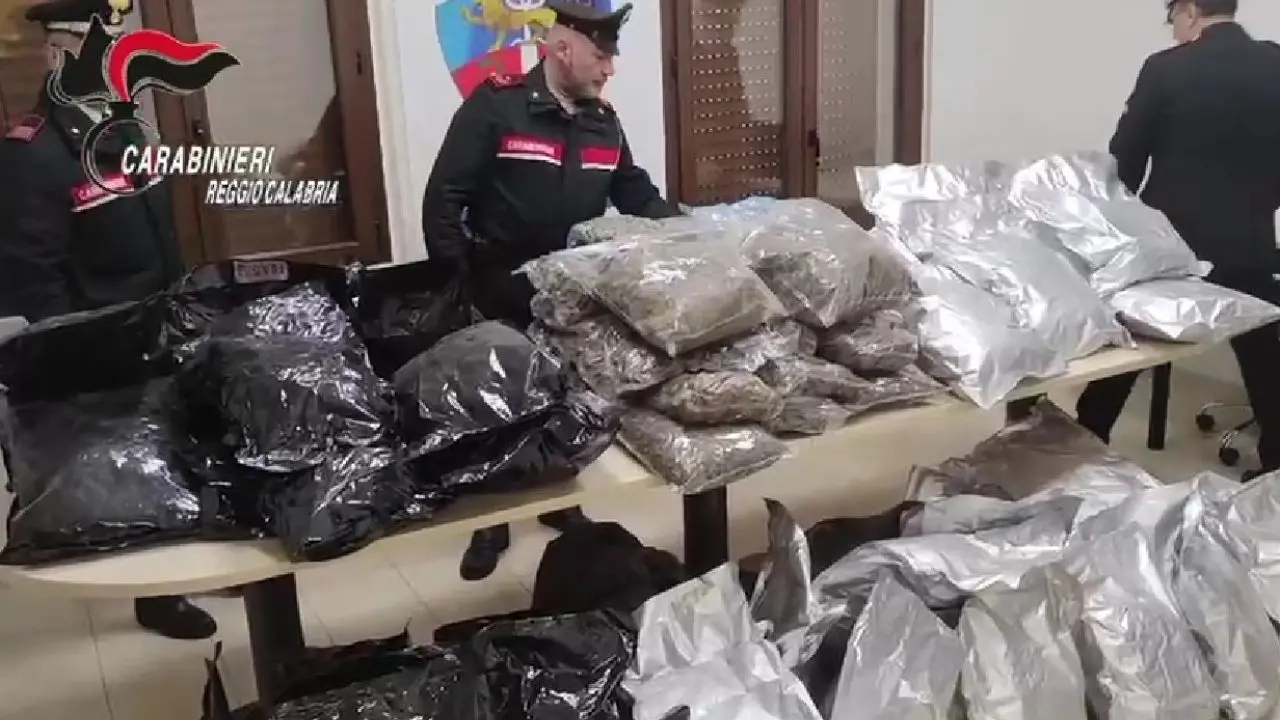 Operazione antidroga a Gioia Tauro, sequestrati 80 chili di marijuana e materiale pirotecnico