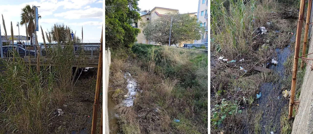 Torrente Grima stracolmo di erbacce e rifiuti: «I Comuni di Falerna e Gizzeria intervengano prima che accada qualcosa di grave»