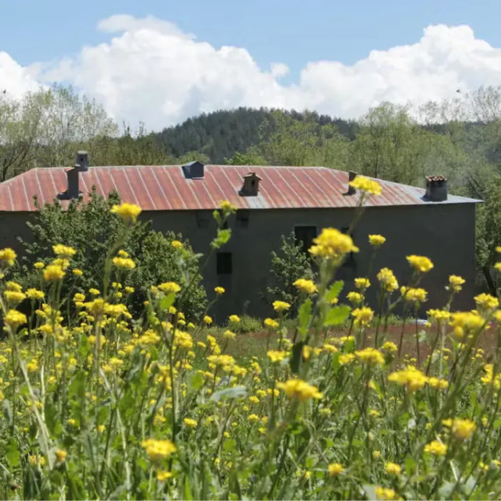 Il Fai apre le porte del Casino Mollo: storia e natura nel cuore della Sila