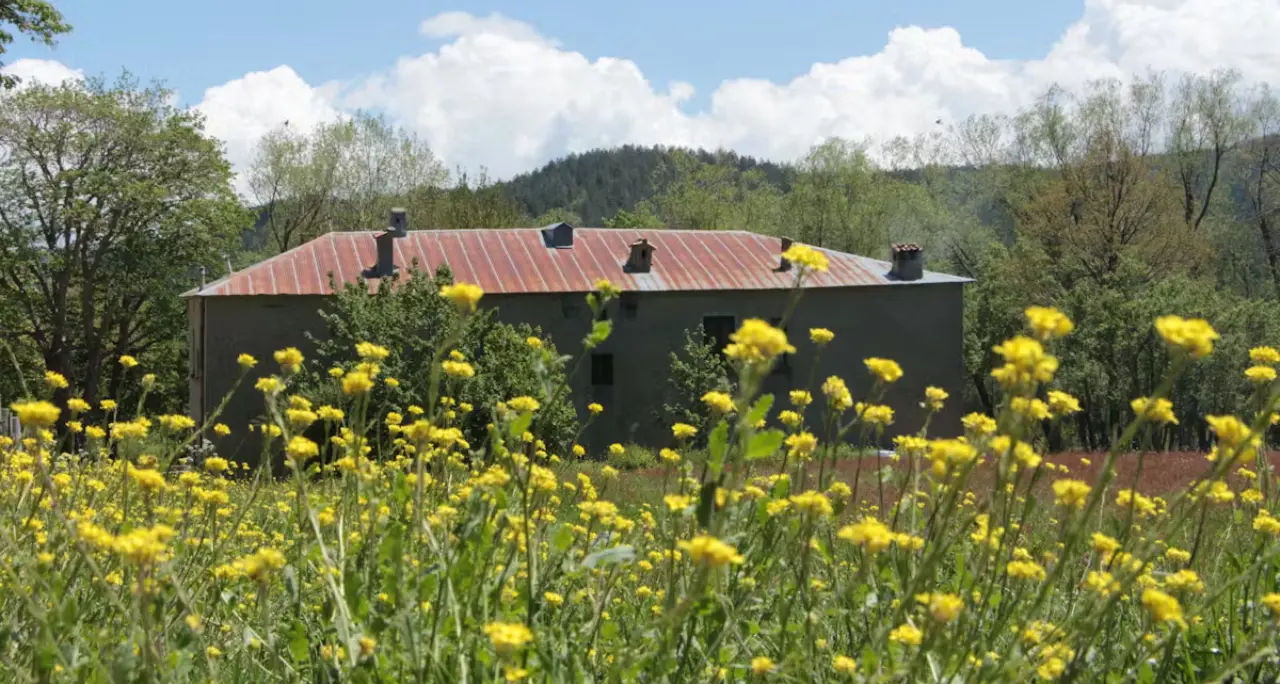 Il Fai apre le porte del Casino Mollo: storia e natura nel cuore della Sila