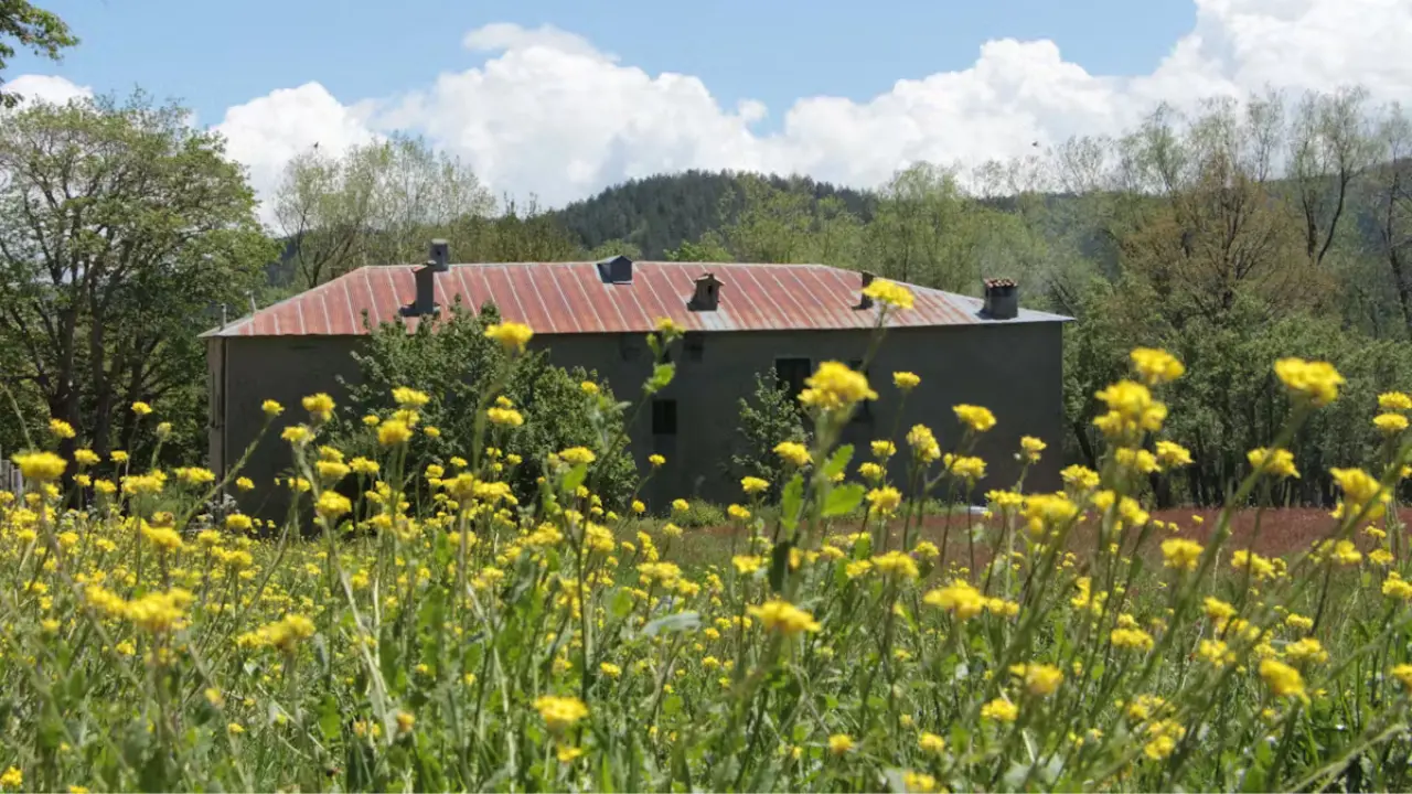 Il Fai apre le porte del Casino Mollo: storia e natura nel cuore della Sila