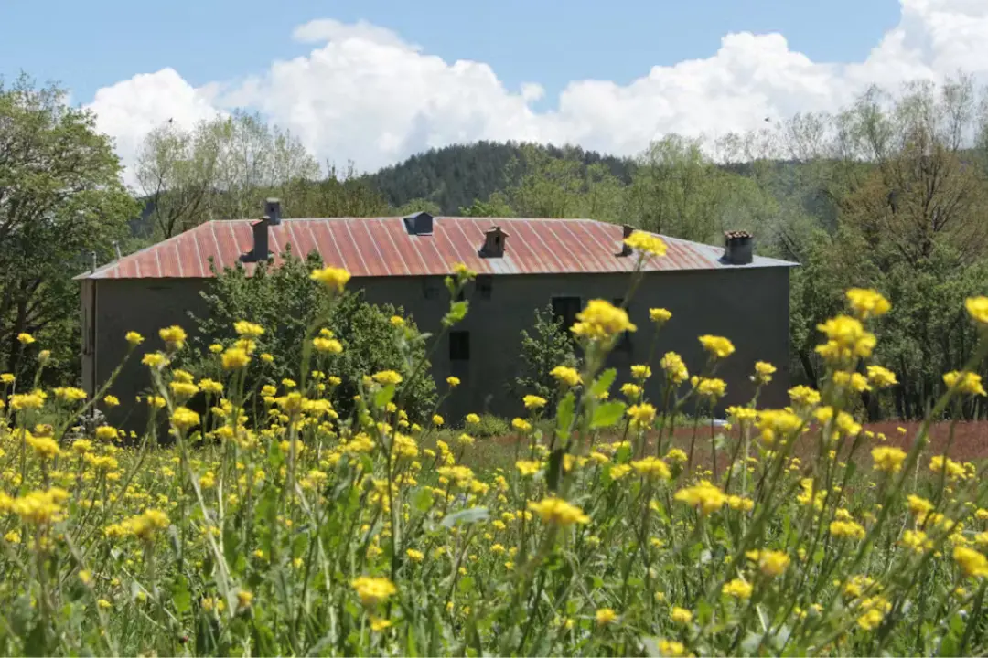 Il Fai apre le porte del Casino Mollo: storia e natura nel cuore della Sila