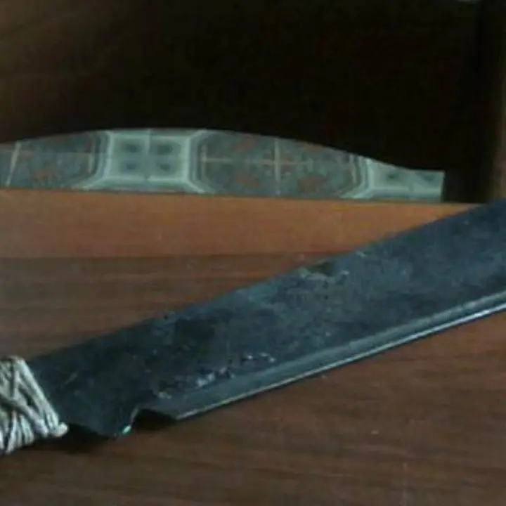 Il “rito del maiale” rischia di trasformarsi in tragedia\u00A0nel Cosentino, armato di machete fa irruzione in casa del vicino e lo colpisce all’orecchio\n