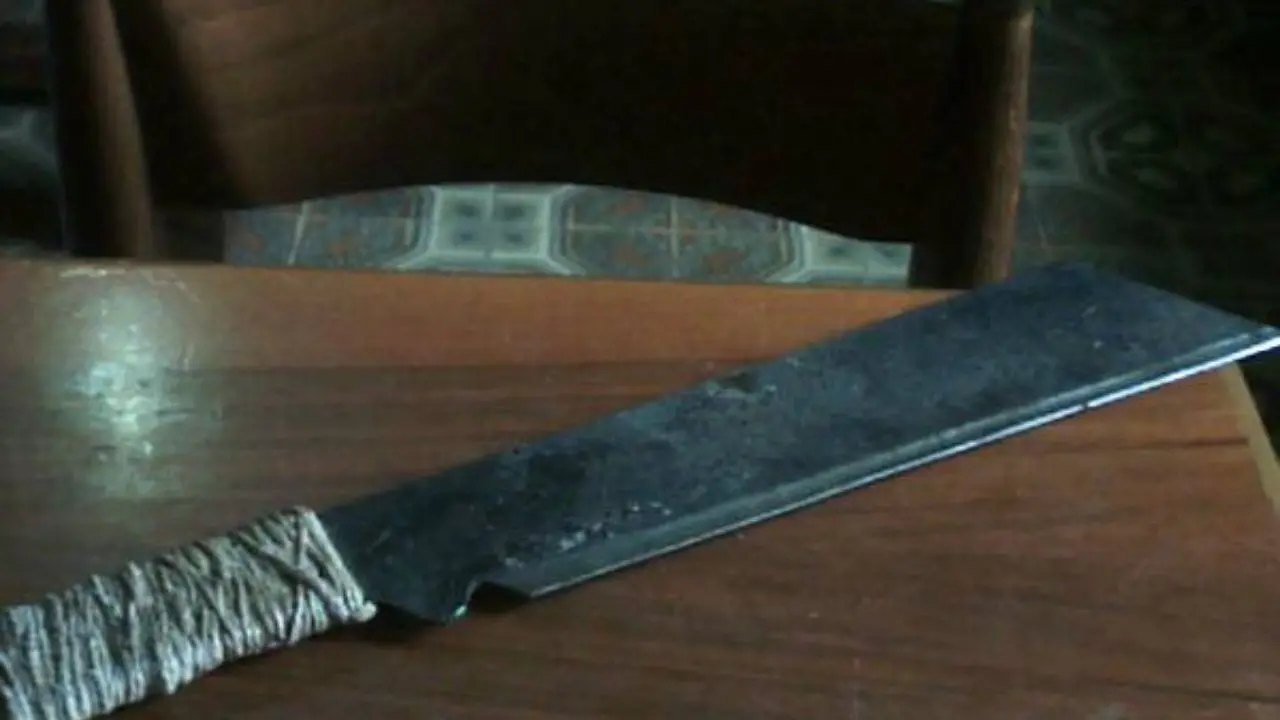 Il “rito del maiale” rischia di trasformarsi in tragedia\u00A0nel Cosentino, armato di machete fa irruzione in casa del vicino e lo colpisce all’orecchio\n