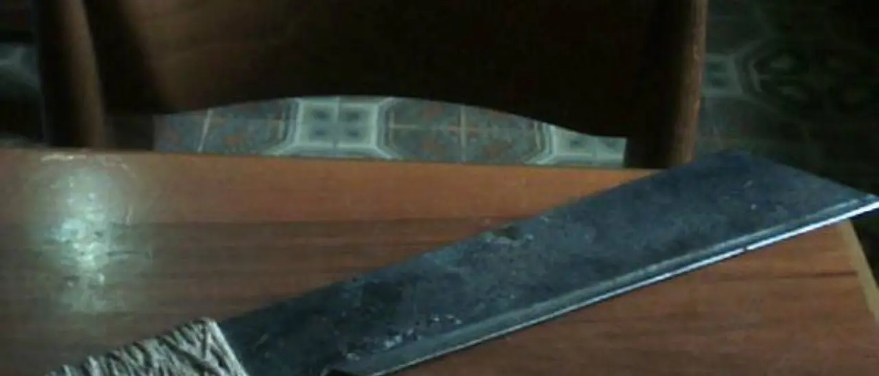 Il “rito del maiale” rischia di trasformarsi in tragedia\u00A0nel Cosentino, armato di machete fa irruzione in casa del vicino e lo colpisce all’orecchio\n