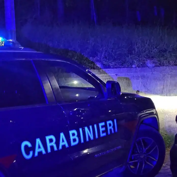 Scoperto arsenale a Polistena, armi e materiale esplosivo nascosti in un casolare abbandonato\n