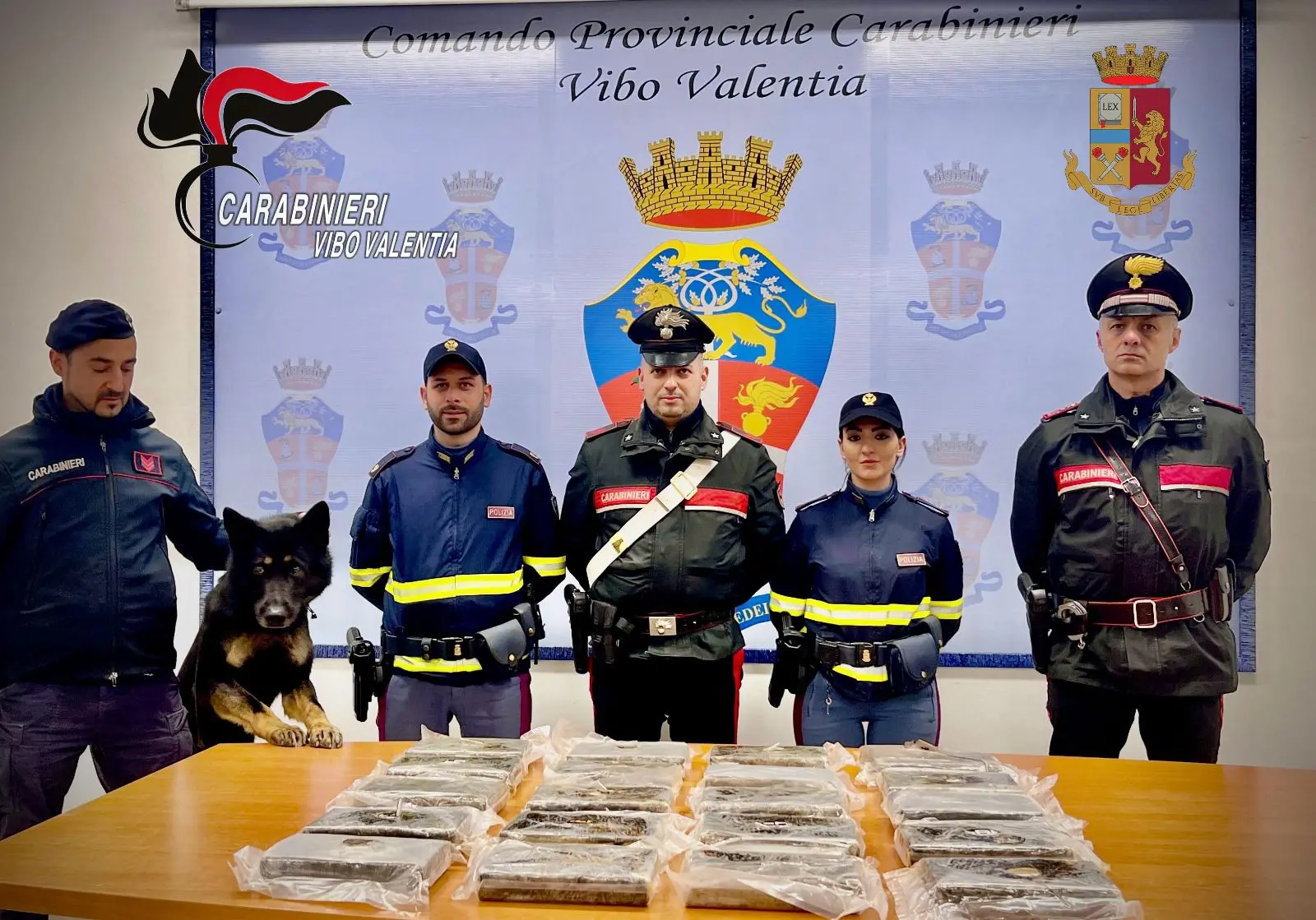 Vibo Valentia, 41enne romano beccato con 22 kg di cocaina in auto: arrestato