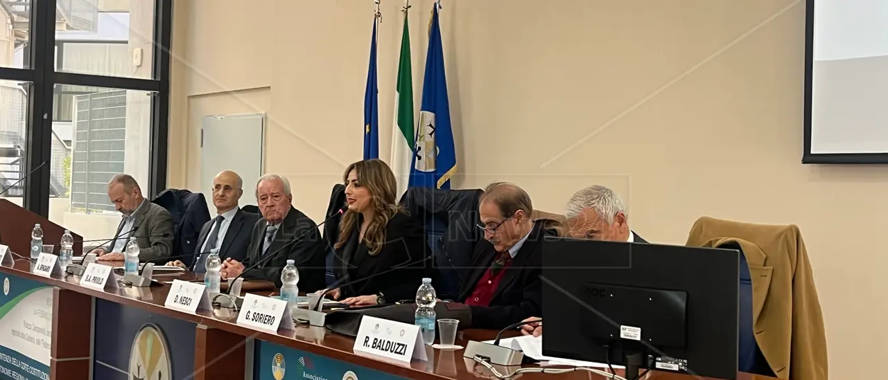 Autonomia regionale e sanità dopo la “bocciatura” della legge Calderoli, oggi la giornata di studio a Reggio\n