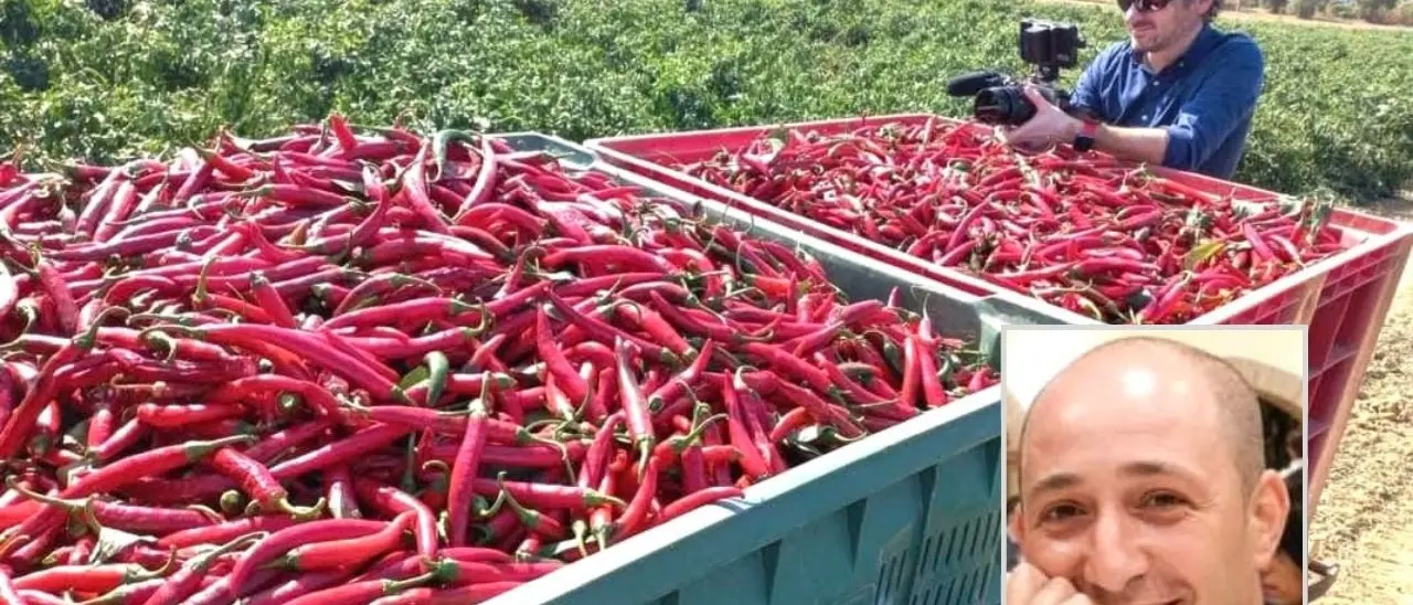 «Il peperoncino di Calabria è uno spettacolo, ora vogliamo conquistare il mondo»: il sogno del presidente del Consorzio Pietro Serra\n