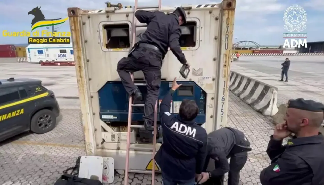 Blitz al porto di Gioia Tauro, sequestrati 788\u00A0chili di cocaina: la droga nascosta tra sacchi di pellet e pesce surgelato\n