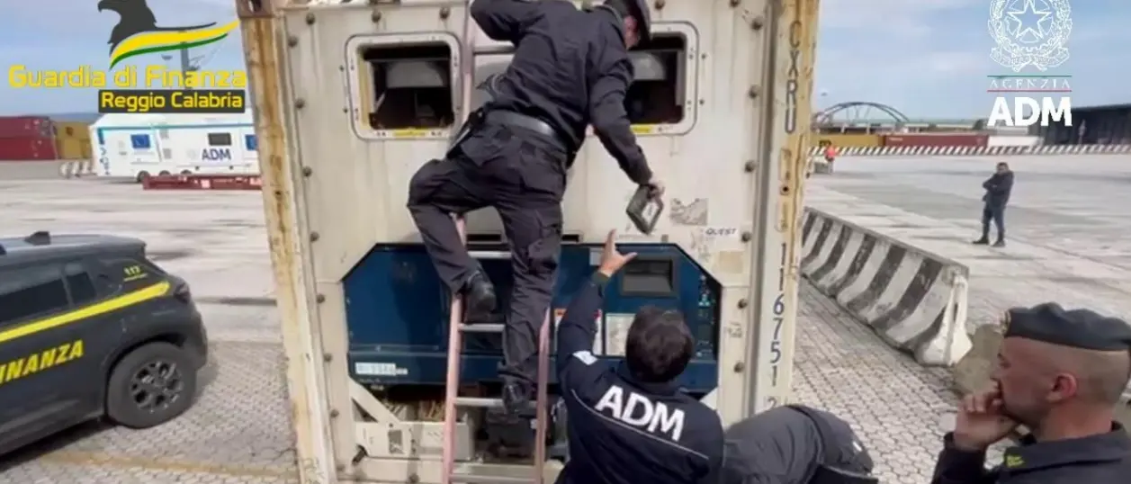 Blitz al porto di Gioia Tauro, sequestrati 788\u00A0chili di cocaina: la droga nascosta tra sacchi di pellet e pesce surgelato\n
