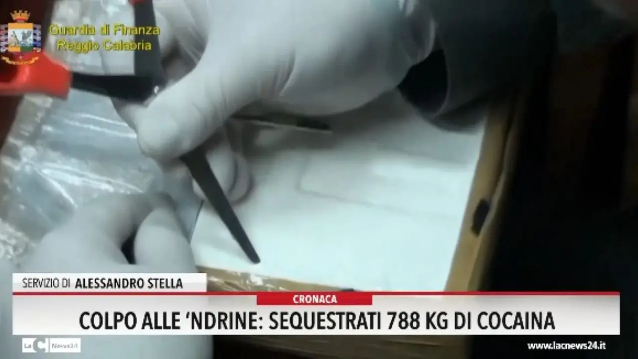 Colpo alle Ndrine, sequestrati 788 kg di cocaina