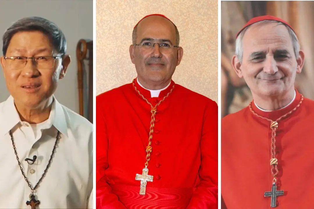 <p><strong>Da sinistra: Luis Antonio Tagle,&nbsp;Jos&eacute; Tolentino Cala&ccedil;a de Mendon&ccedil;a e Matteo Zuppi</strong></p>\\n