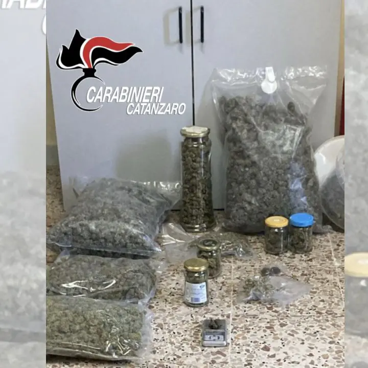 I carabinieri intervengono per una lite e scoprono oltre 3 chili di marijuana: arrestato un 25enne nel Catanzarese\n