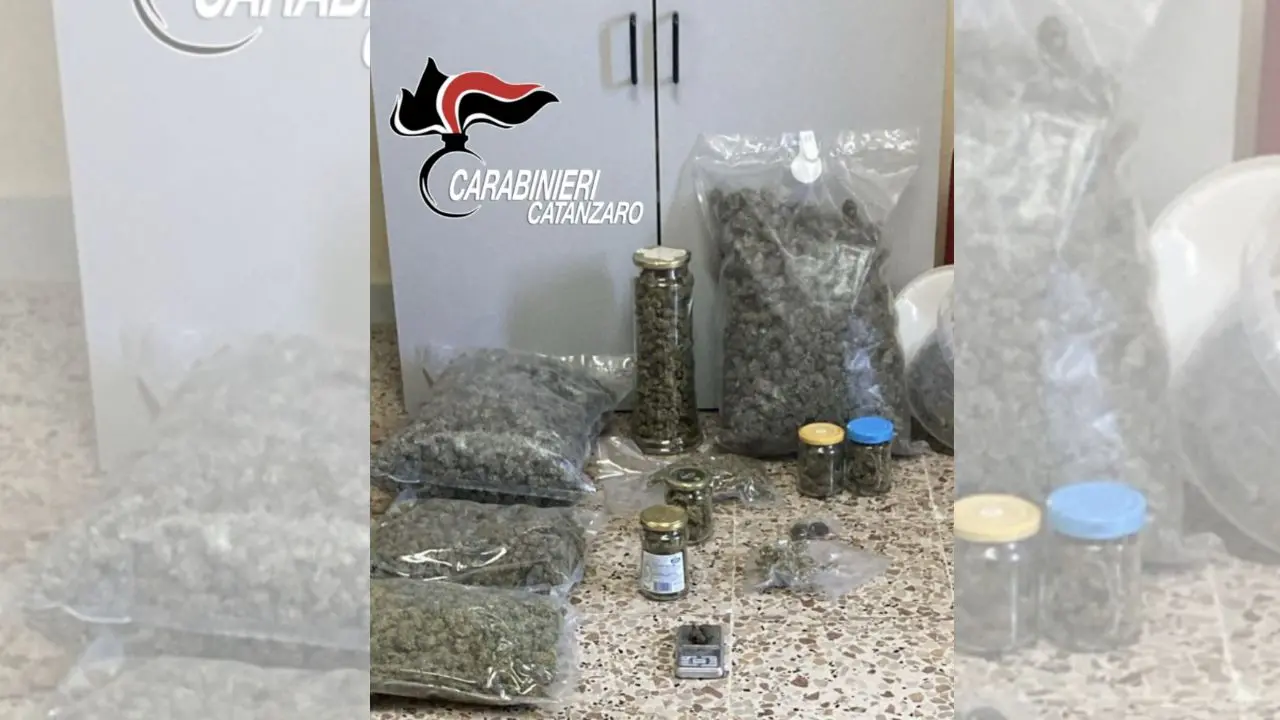 I carabinieri intervengono per una lite e scoprono oltre 3 chili di marijuana: arrestato un 25enne nel Catanzarese\n