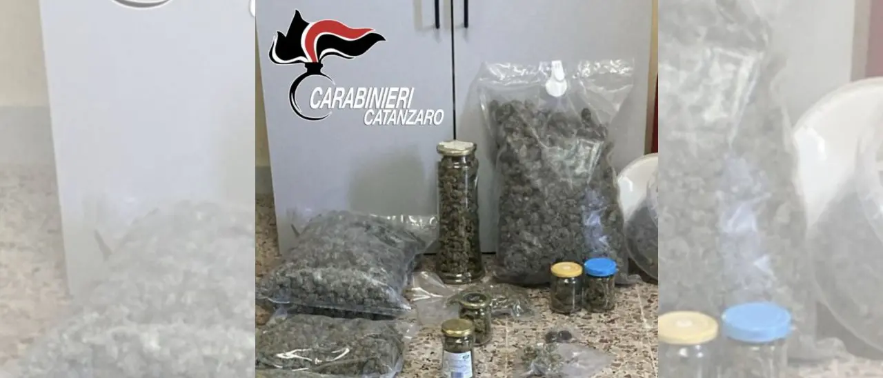 I carabinieri intervengono per una lite e scoprono oltre 3 chili di marijuana: arrestato un 25enne nel Catanzarese\n