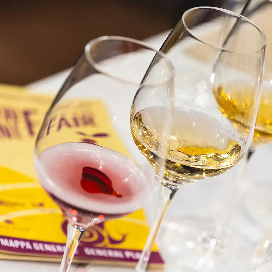 La Calabria protagonista alla Slow Wine Fair 2025: vini autoctoni, degustazioni e un racconto di sostenibilità\n