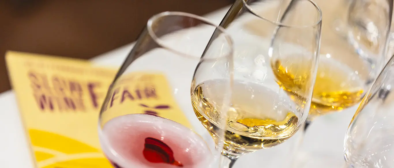 La Calabria protagonista alla Slow Wine Fair 2025: vini autoctoni, degustazioni e un racconto di sostenibilità\n